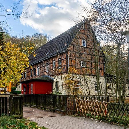 Falk & Frei Selketal Resort Meisdorf Εξωτερικό φωτογραφία